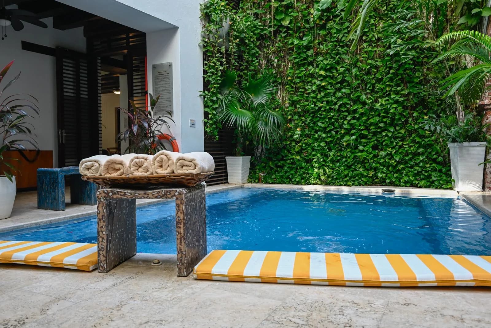 Piscina de Casa Claver rodeada por un jardín vertical